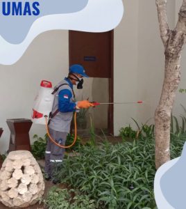 Jasa Pest Control Jakarta​