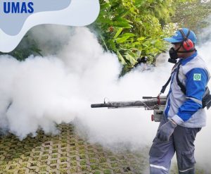 Fogging nyamuk kebayoran baru