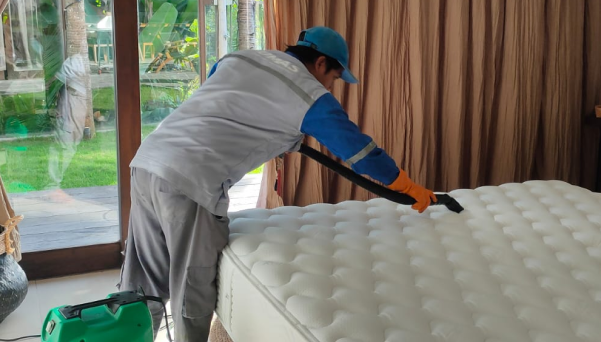 Jasa Pest Control Di Bali | UMAS