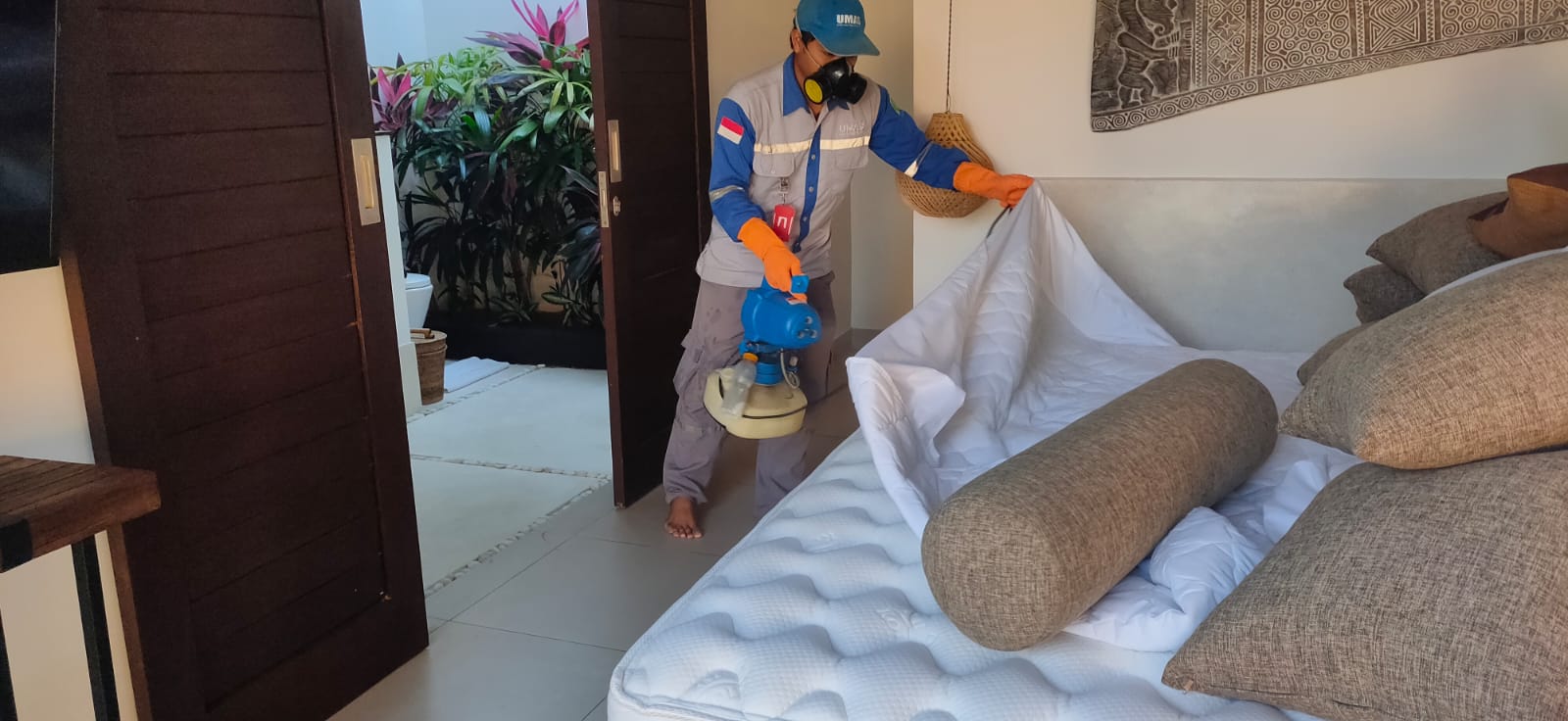 Trik Mudah dan Murah untuk Basmi Kutu Busuk di Kamar Tidur