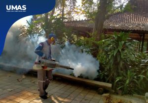 Jasa Fogging Nyamuk Jakarta Utara