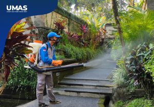 Jasa Pest Control Ubud