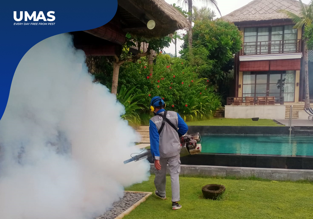 Keunggulan Layanan Fogging Massal UMAS di Bali untuk Mengatasi Serangan Hama