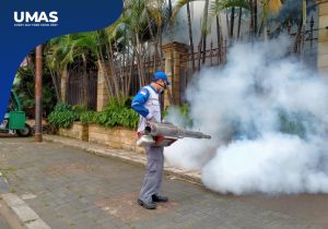 Jasa Fogging Massal Sukawati