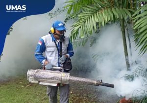 jasa pest control canggu