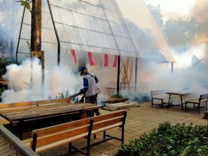 jasa fogging di kelapa gading