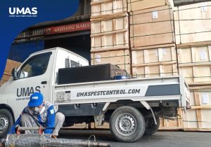 Jasa Pest Control Surabaya Selatan | Gudang Steril Dari Hama