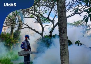 Jasa Fogging Nusa Dua