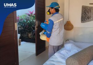 Jasa Pest Control Tanjung Priok | Lindungi Apartemen Dari Hama