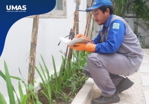 Mengatasi Kecoa di Apartemen - Hubungi Jasa Pest Control Bekasi