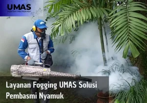 Layanan Fogging UMAS