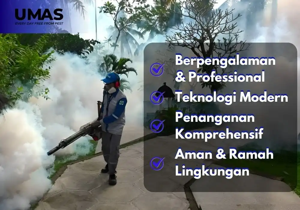 Layanan Fogging UMAS