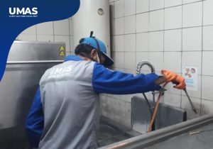 Jasa Pest Control Denpasar | 3 Cara Cepat Usir Kecoa di Restoran