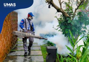 Jasa Fogging Seminyak | Menjaga Villa Bebas Nyamuk