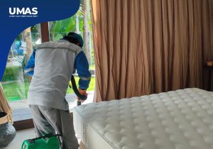 Cara Mengatasi Tungau di Kamar Hotel | Pest Control Sanur