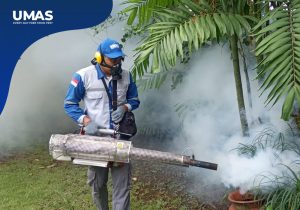 Jasa Fogging Sunter | Mengusir Nyamuk di Area Indoor