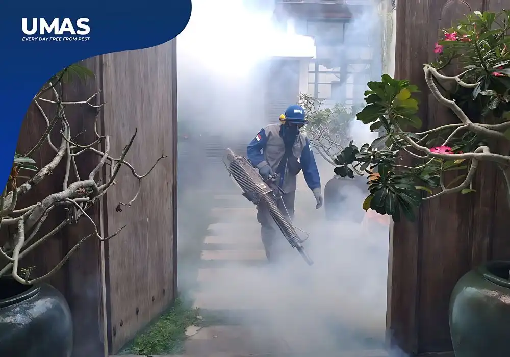 Kenapa Fogging Perlu Dilakukan