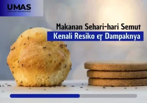 Makanan Sehari-hari Semut