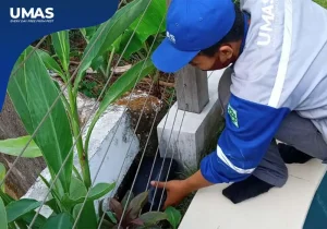 jasa pembasmi tikus bogor