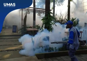 jasa fogging nyamuk depok