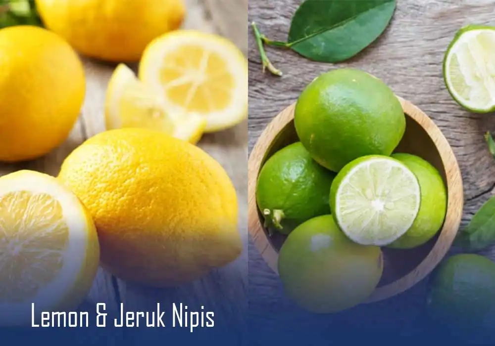 Jeruk Nipis | Lemon