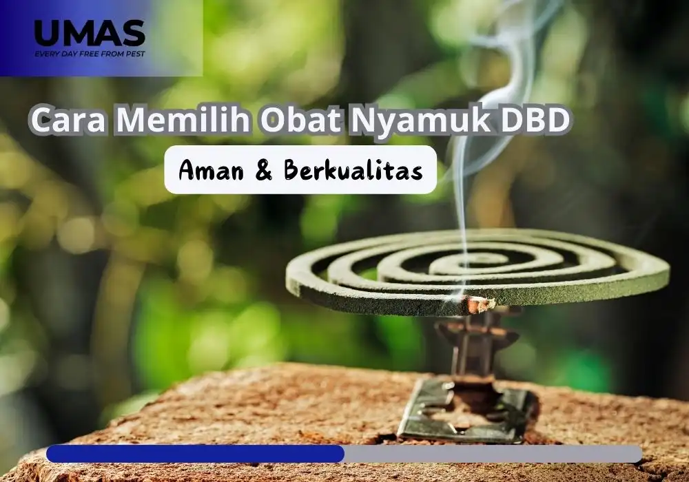 Obat Nyamuk DBD