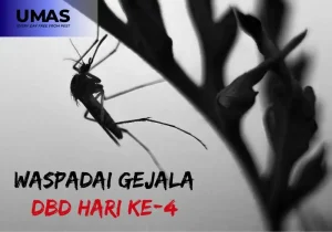 Gejala dbd hari ke 4