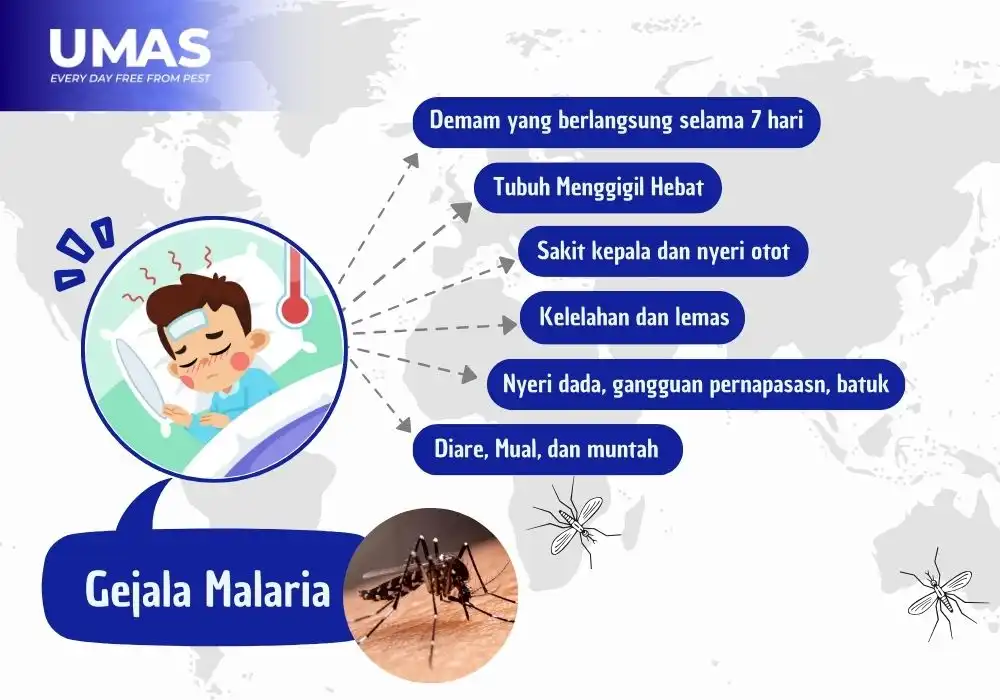 Gejala Malaria