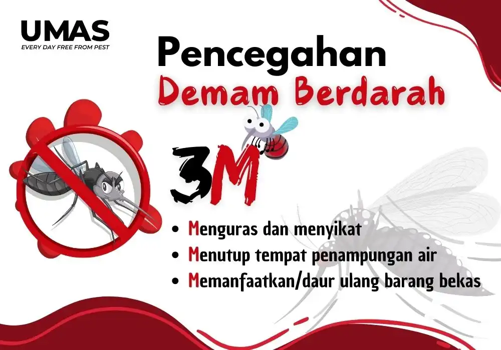 Pencegahan Demam Berdarah