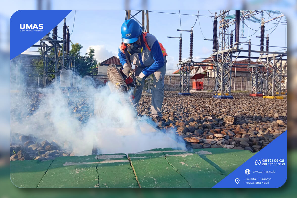 umaspestcontroljakartabalisurabayajogja3